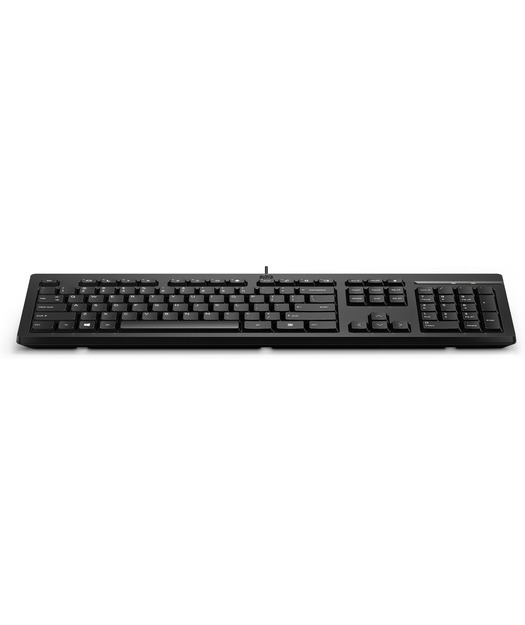 HP%20125%20Wired%20Keyboard%20(266C9AA)