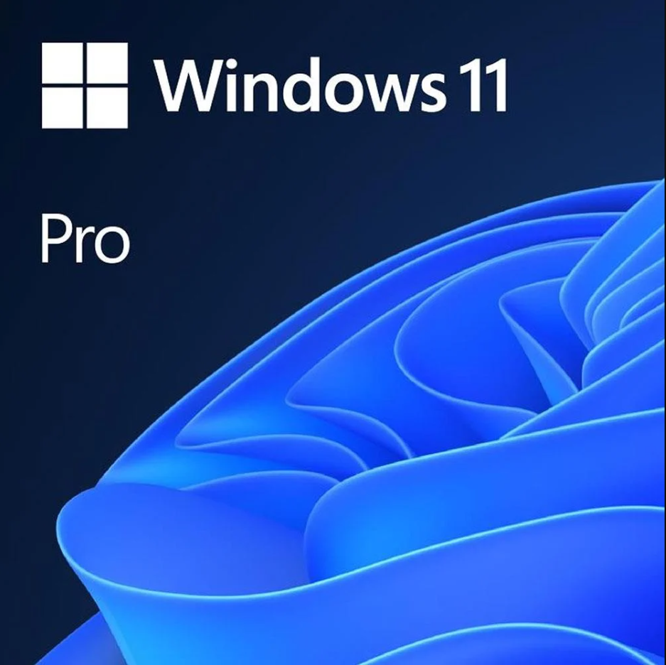 MS%20WINDOWS%2011%20PRO%20TR%20KUTU%20HAV-00159